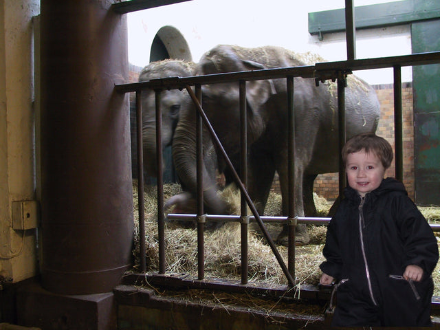 Jonas & the Elephant